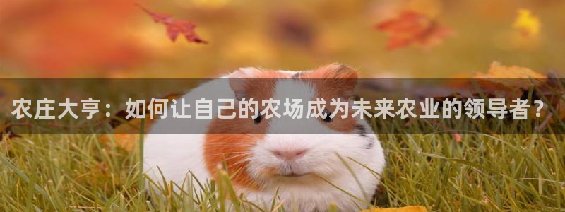 九游会天眼：农庄大亨：如何让自己的农场成为未来农业的领导者？