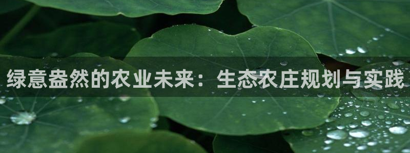 九游会老哥会
