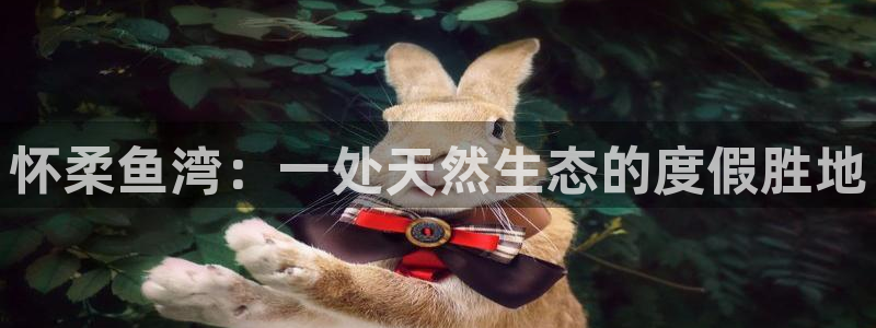 九游会ag正版app