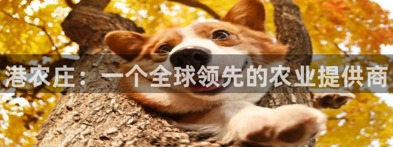 旧站九游会