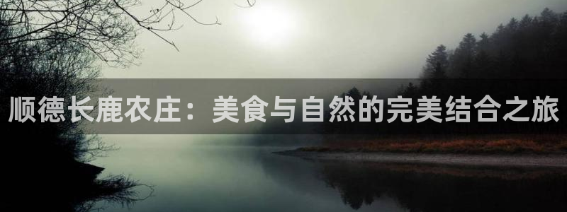 九游会网站