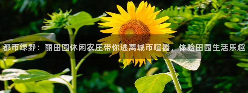 九游会官网首页进入