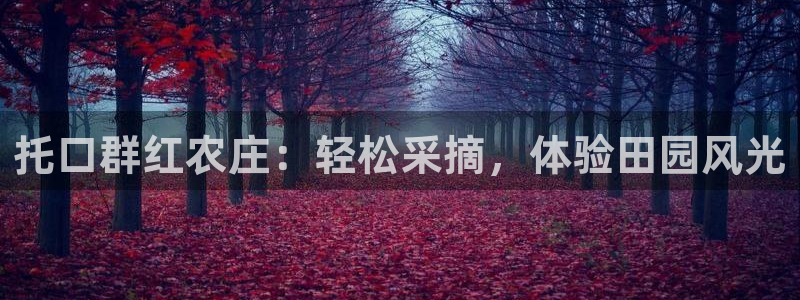 九游会论坛老哥