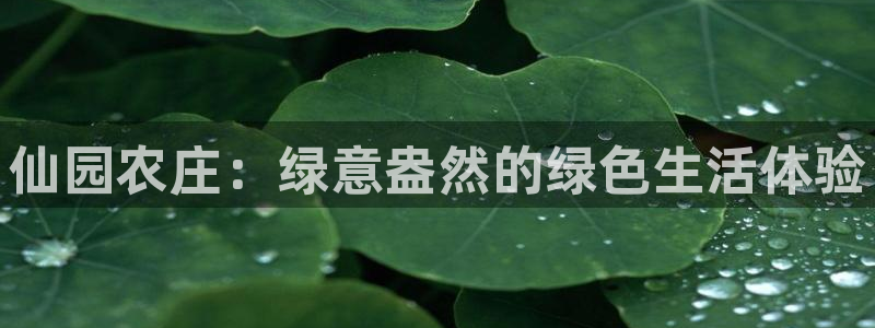 九游会官方正版下载地址