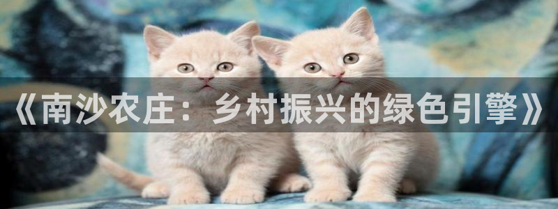 九游会菲律宾