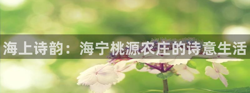 九游会正规备用网址