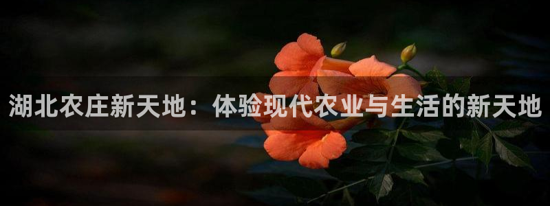 九游会赌神
