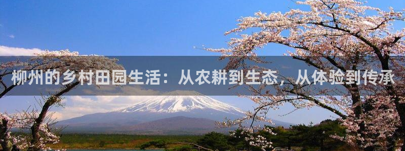 ag九游会登陆入口