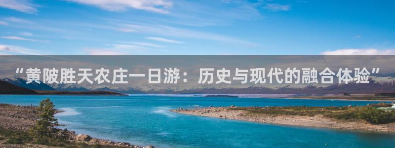九游会平台洗钱