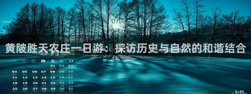 九游会网站ag8