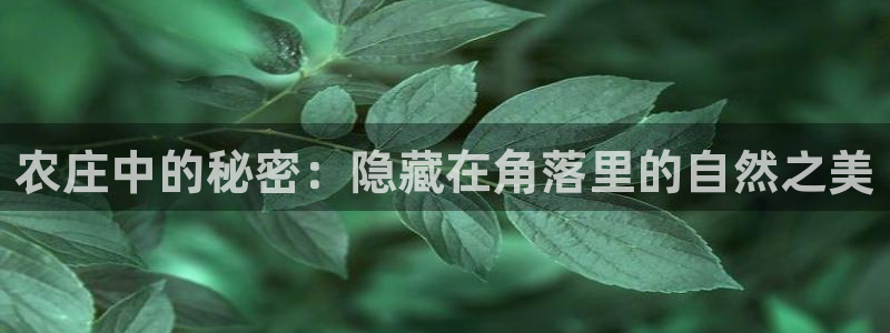 九游会体育彩票