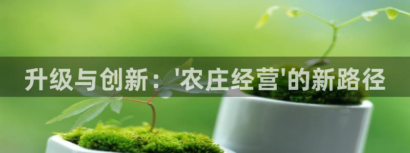 九游会体育比分