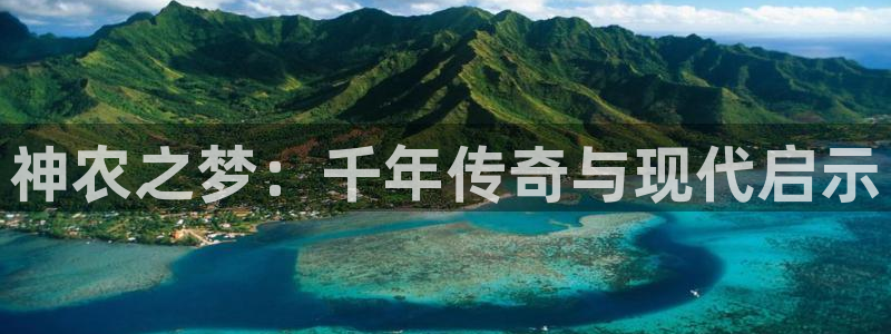 j9九游会手机