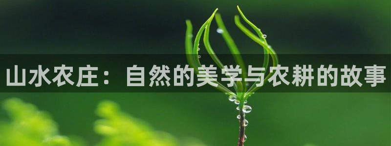 ag九游会亚