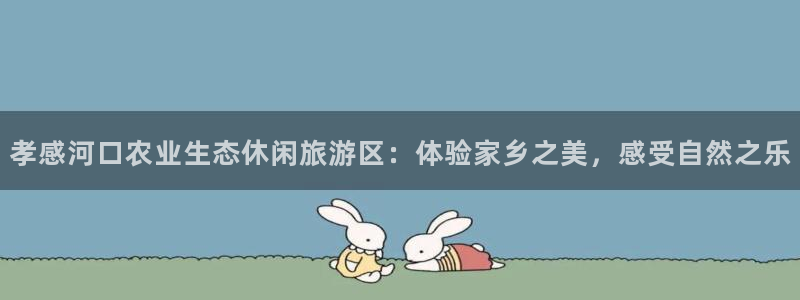 九游会ag首页