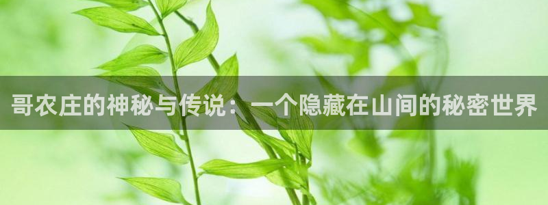 九游会官