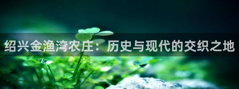 九游会游戏登陆