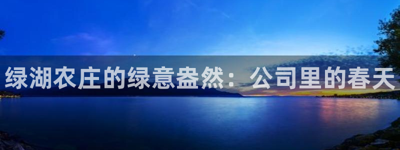 九游会官网真人