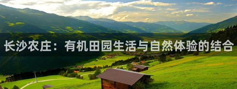 九游会官网在线