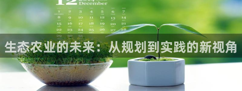 j9九游会官方网站国际