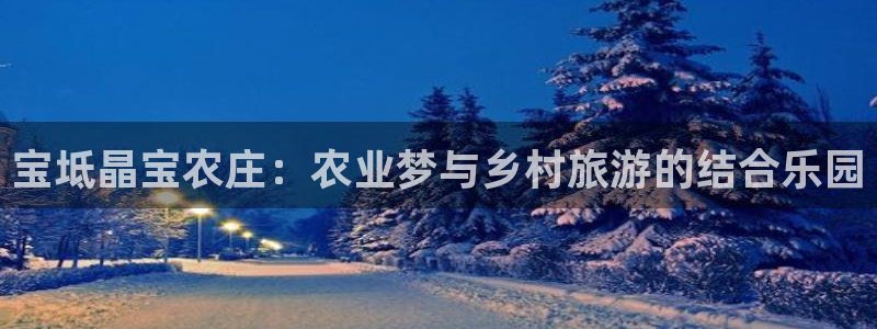 网赌九游会