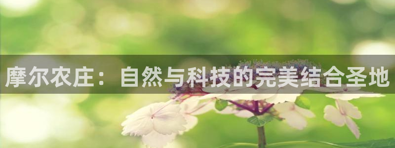 九游会俱乐部