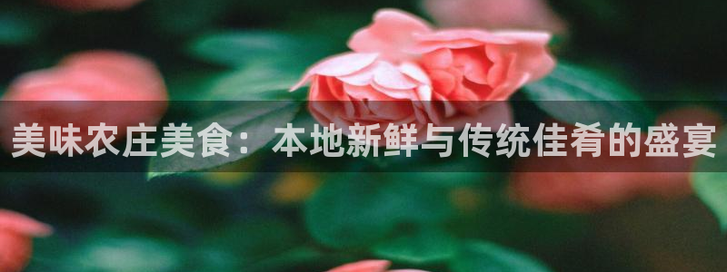 九游会网址多少九
