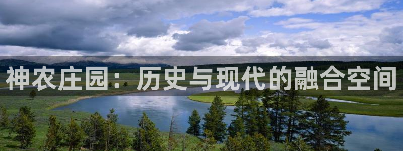 九游会AG8官网