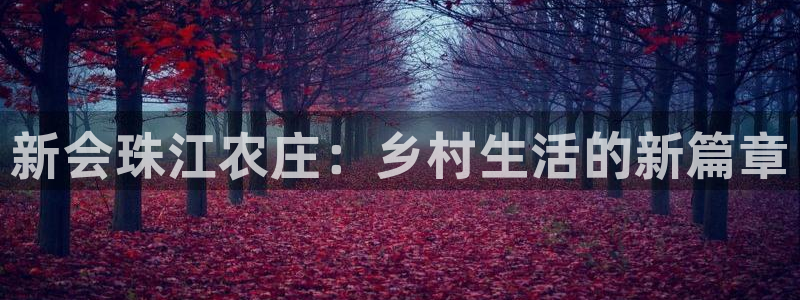 九游会人口