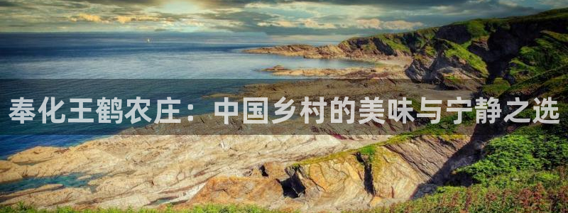 九游会最新线路