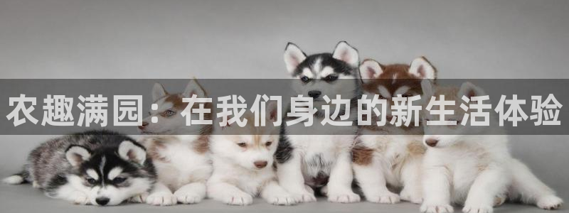 j9九游会老哥