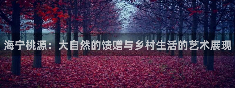九阴手游青龙会怎么玩