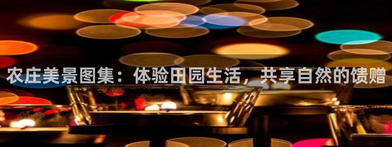 九游会提款靠谱吗