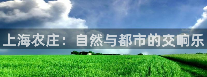 九月游会