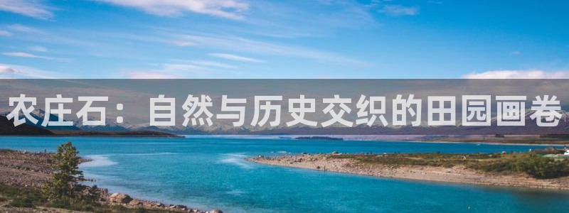 九游会官网人口