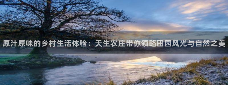 AG九游会_9游会
