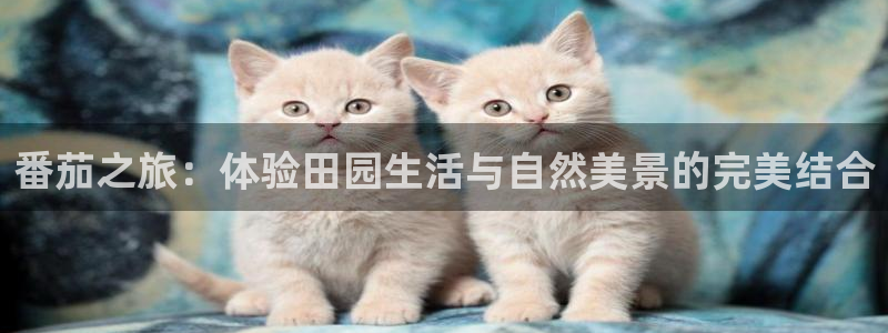 j9九游会app下载