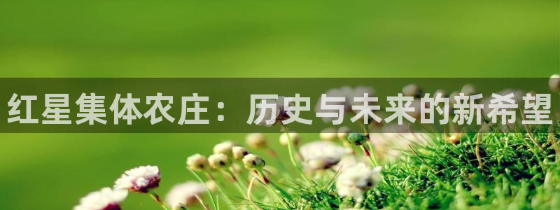 泰国九游会