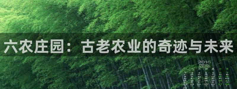 Google 九游会