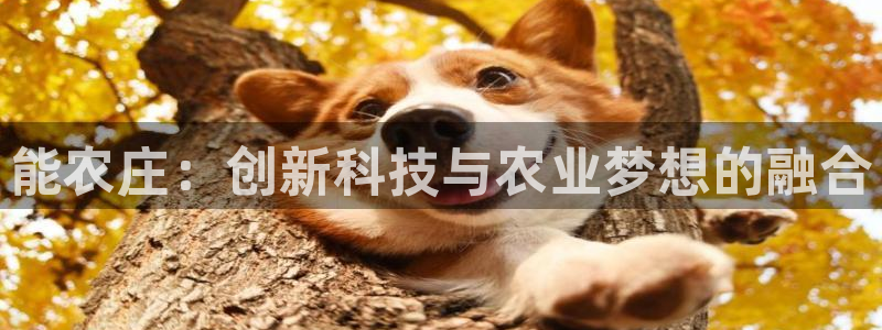 九游会主页