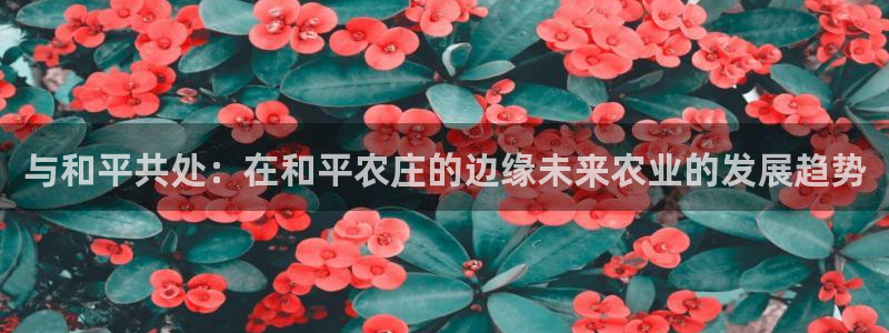 九游会ag.