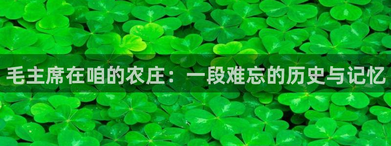 珠海九游会