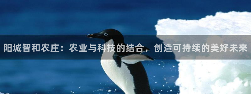 九游会数字货站