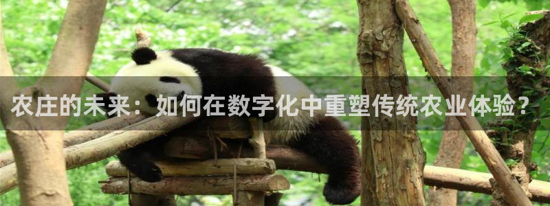 九游会啊