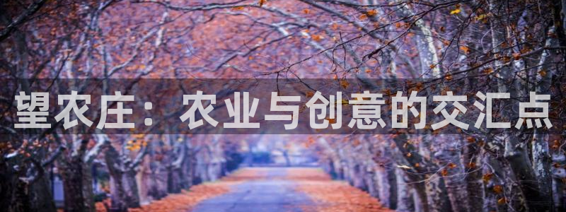 旧版九游会