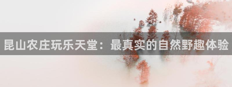 九游会国际平台