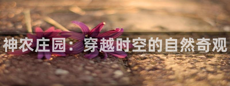 九游退会