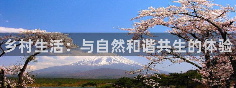 AG九游会导航