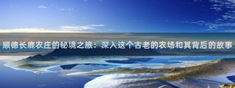 搜索 九游会