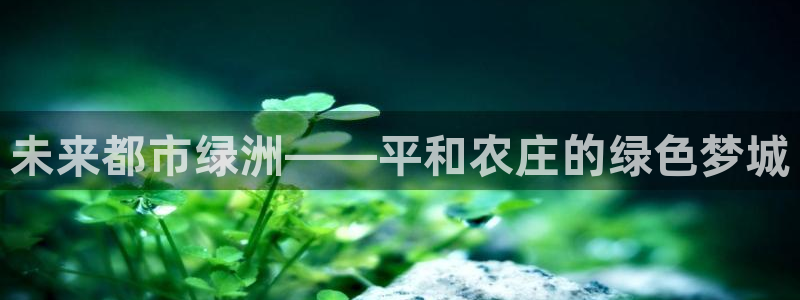 九游会官方入口